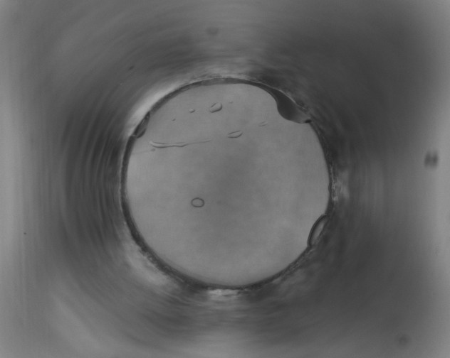 X0000113230052200910081415