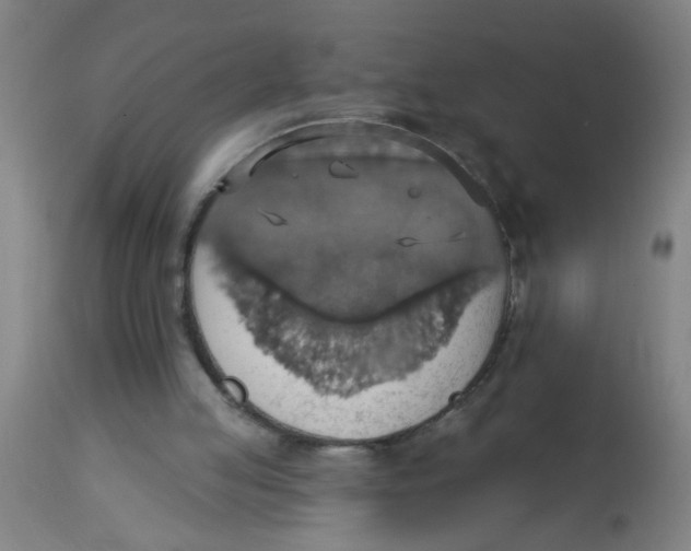 X0000113230053200910081415