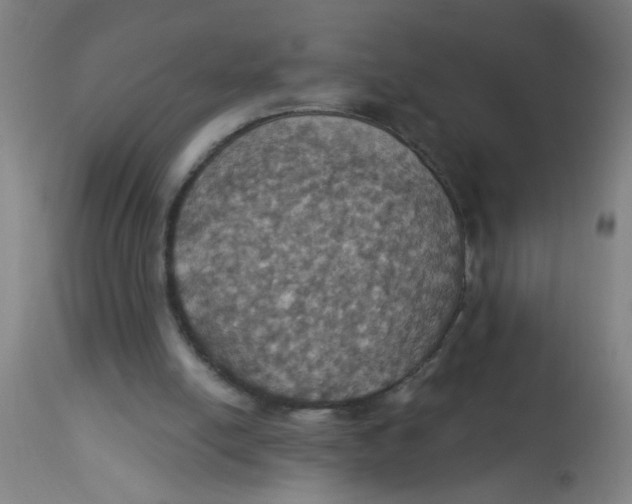 X0000113230054200910081415