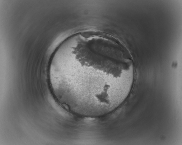 X0000113230055200910081416