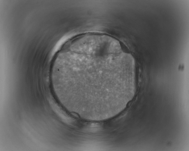 X0000113230056200910081416