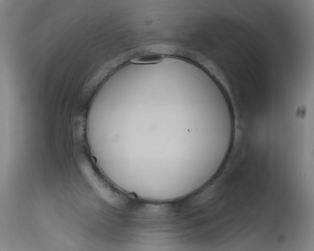 X0000113230057200910081416