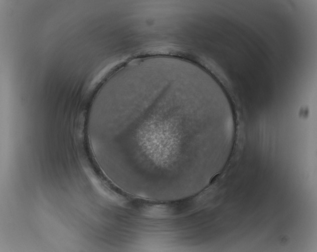 X0000113230058200910081416