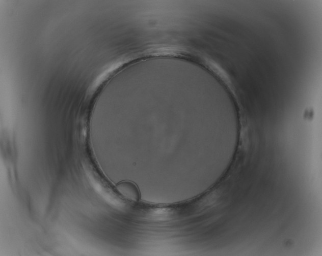 X0000113230059200910081416