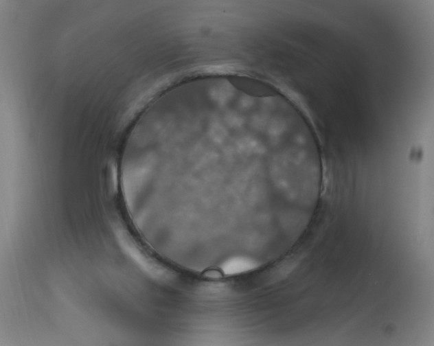 X0000113230061200910081416