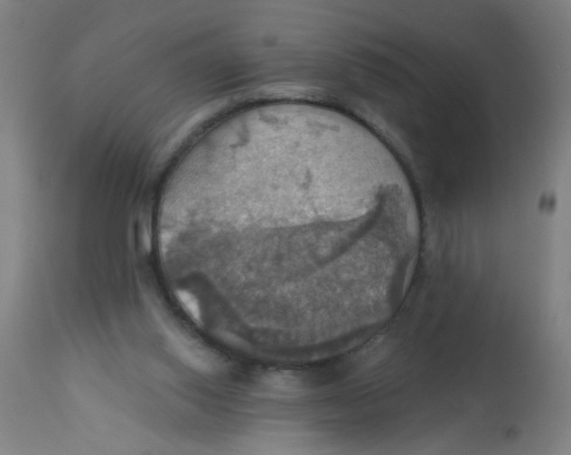 X0000113230062200910081416