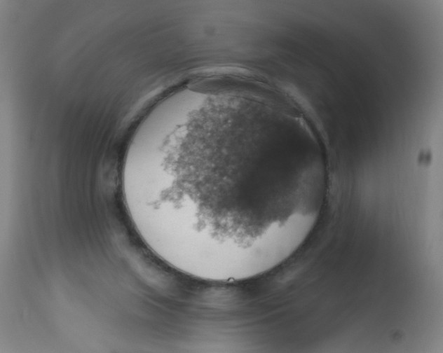 X0000113230063200910081416