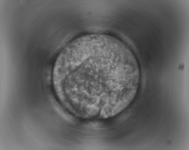 X0000113230065200910081416