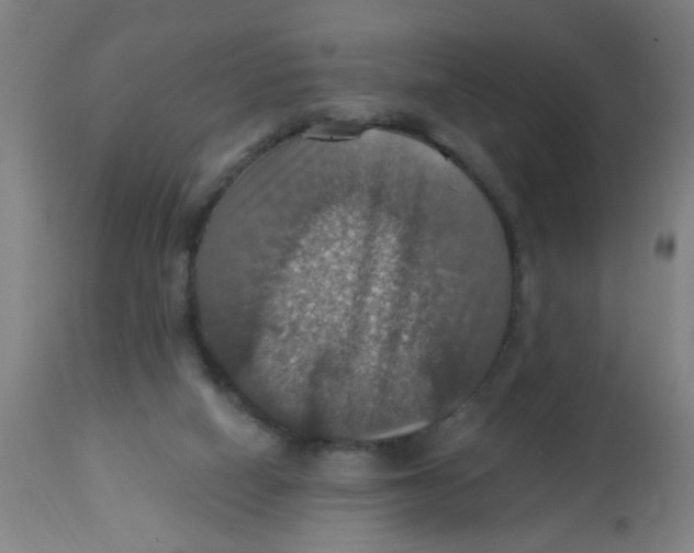 X0000113230066200910081416