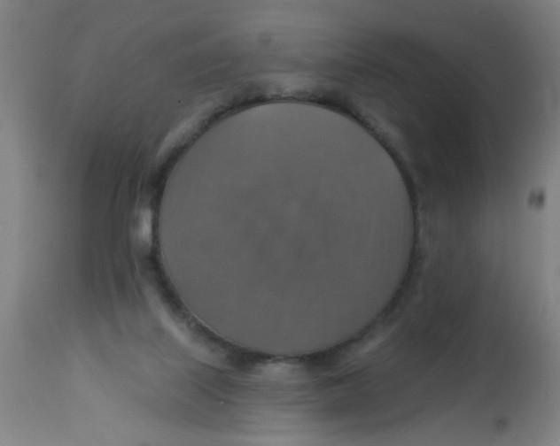 X0000113230067200910081416