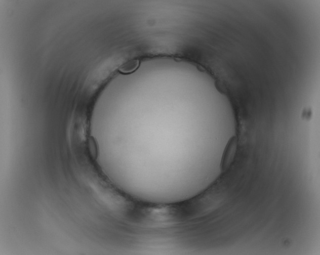 X0000113230068200910081416