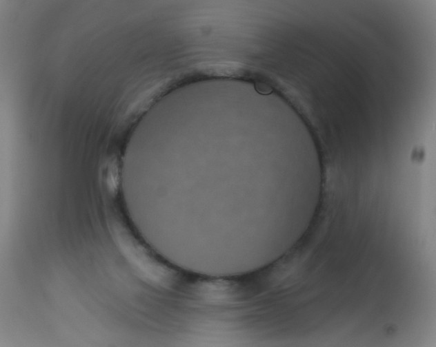 X0000113230069200910081416