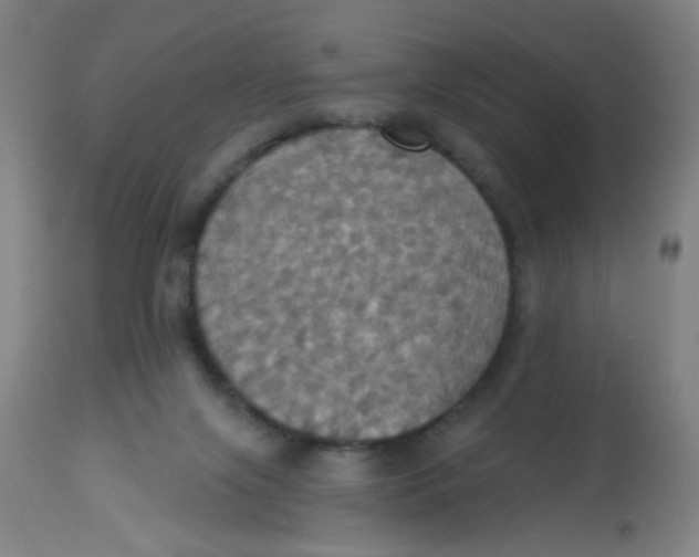 X0000113230071200910081416