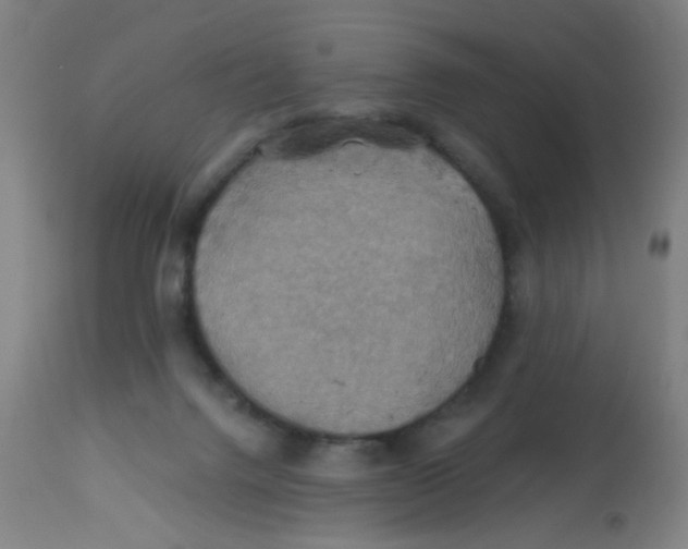 X0000113230072200910081416