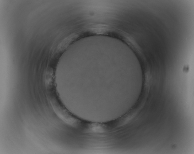 X0000113230073200910081416