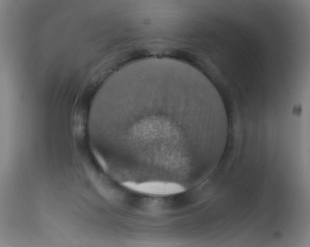 X0000113230074200910081416