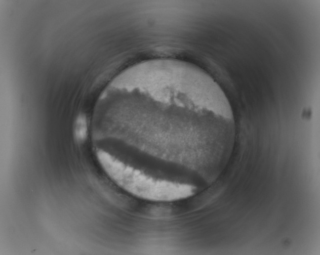 X0000113230075200910081416