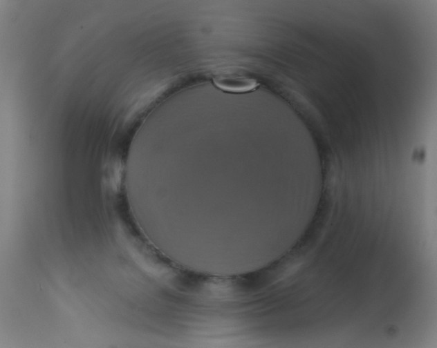 X0000113230076200910081416