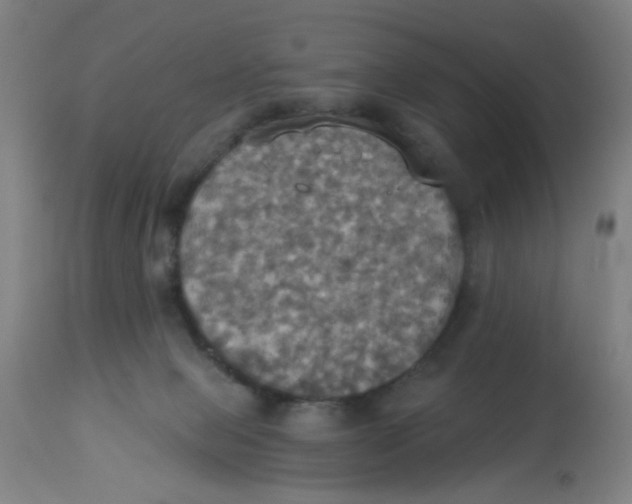 X0000113230077200910081416