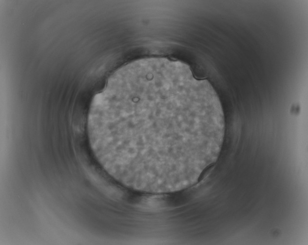 X0000113230078200910081416