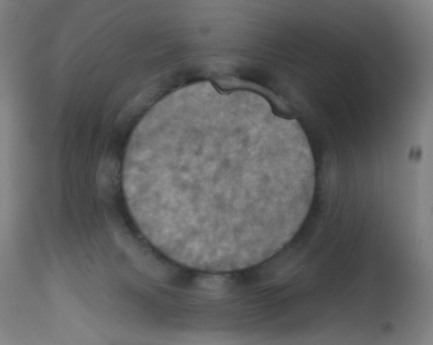 X0000113230079200910081416