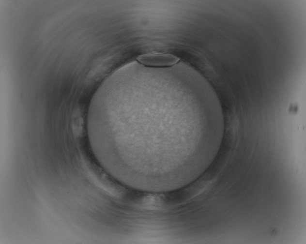 X0000113230080200910081416