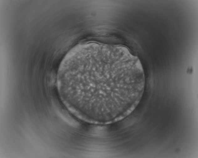 X0000113230081200910081416