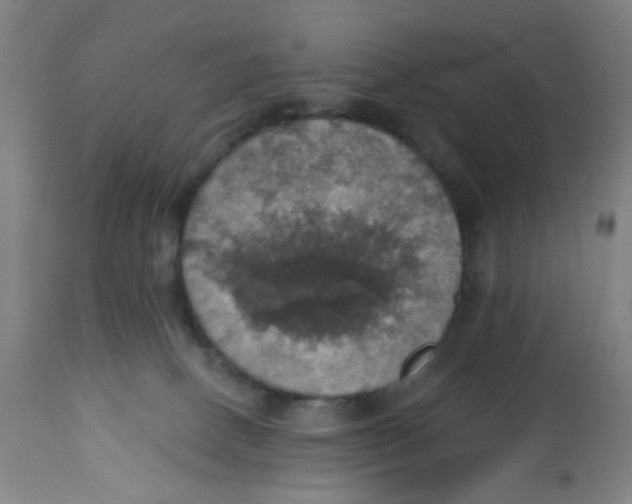 X0000113230082200910081416