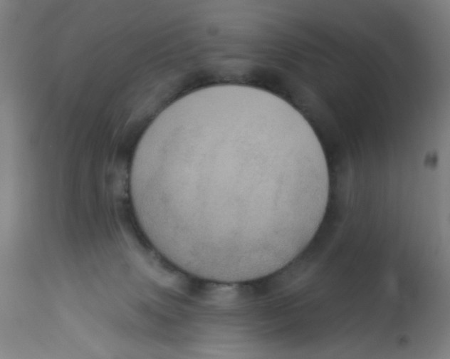 X0000113230083200910081416