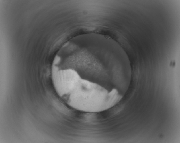 X0000113230085200910081416