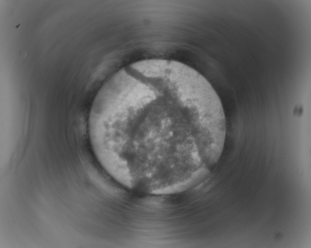 X0000113230086200910081416