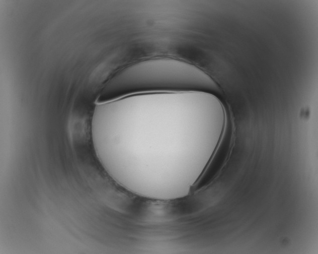 X0000113230088200910081416