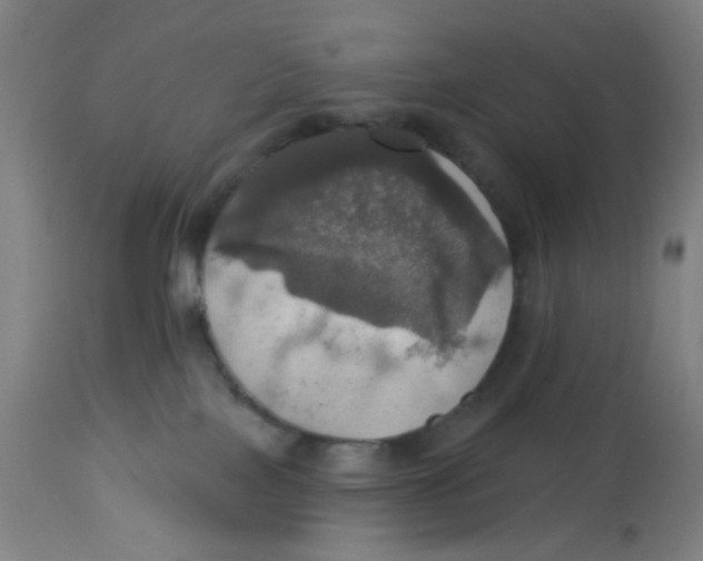 X0000113230089200910081416