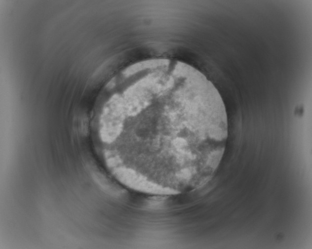 X0000113230090200910081416