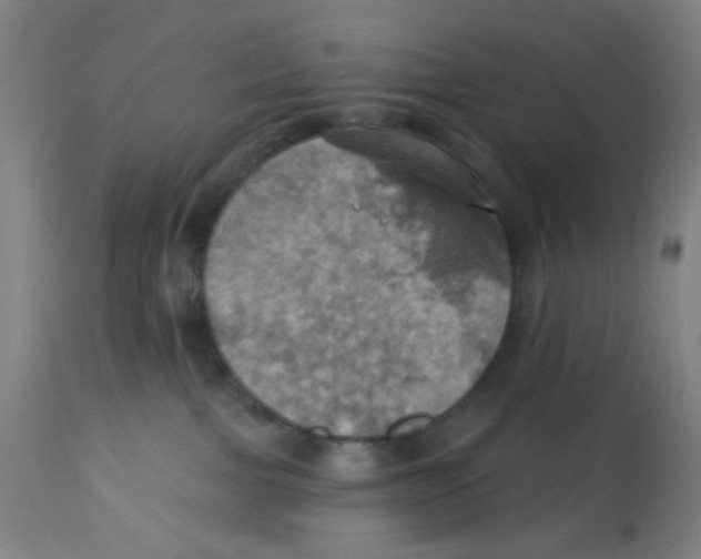 X0000113230091200910081416