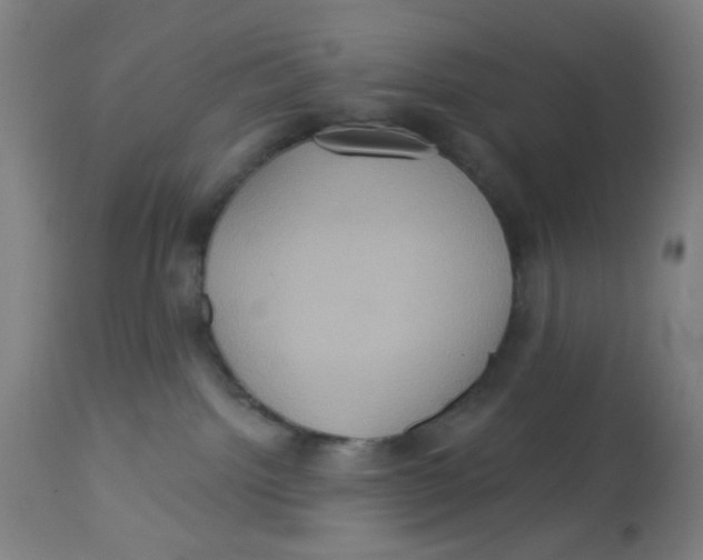 X0000113230092200910081416