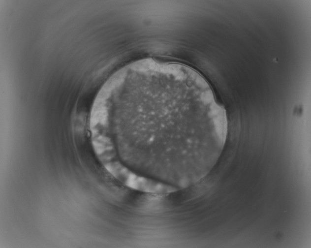 X0000113230093200910081416