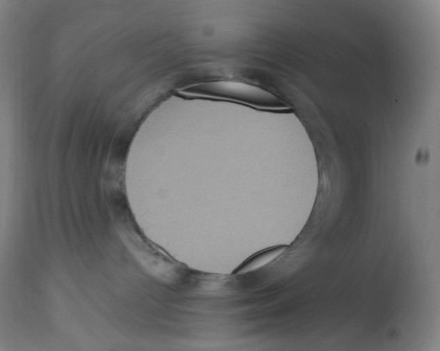 X0000113230096200910081416