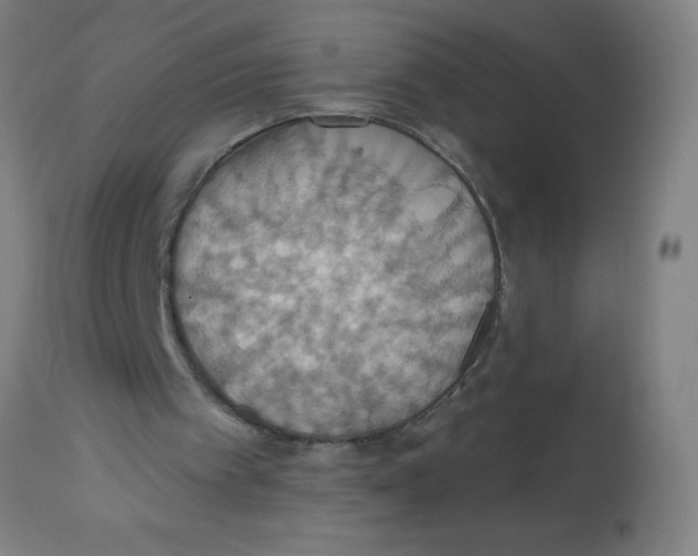 X0000113230097200910081415