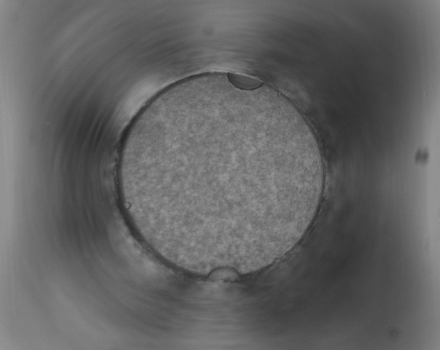 X0000113230098200910081415