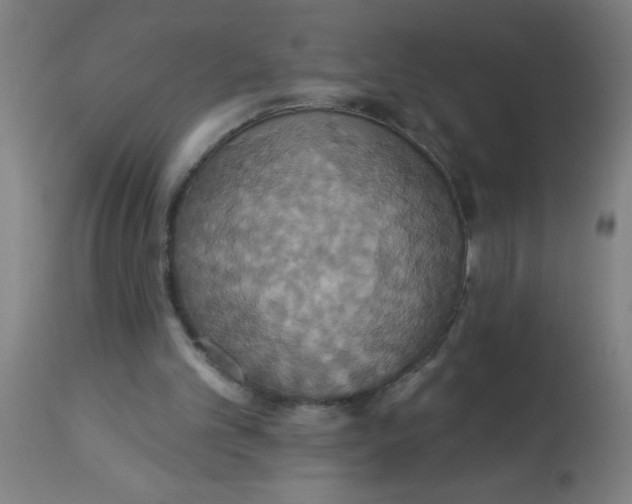 X0000113230101200910081415