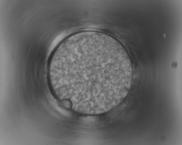 X0000113230102200910081415