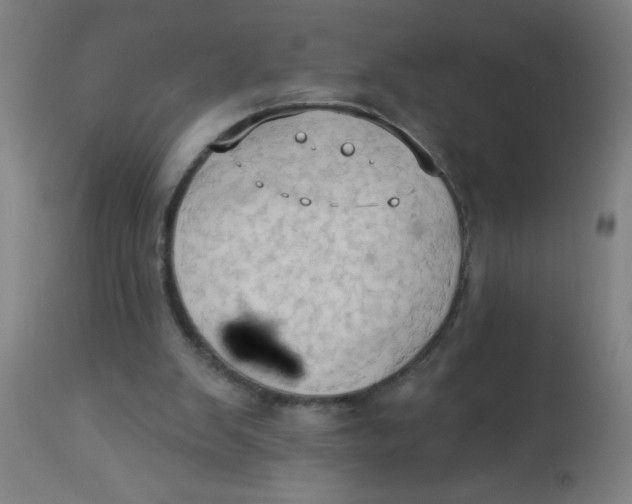 X0000113230103200910081415