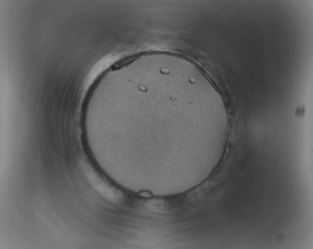 X0000113230104200910081415