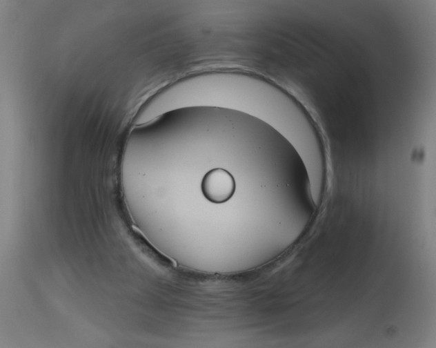 X0000113230105200910081415