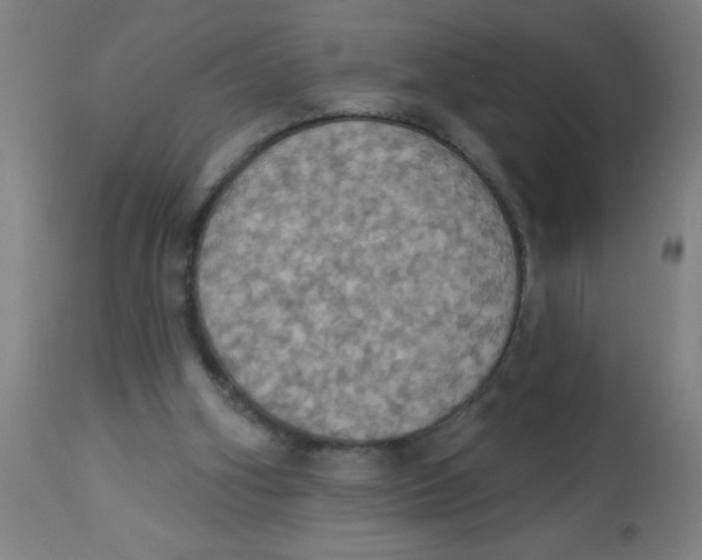 X0000113230106200910081415