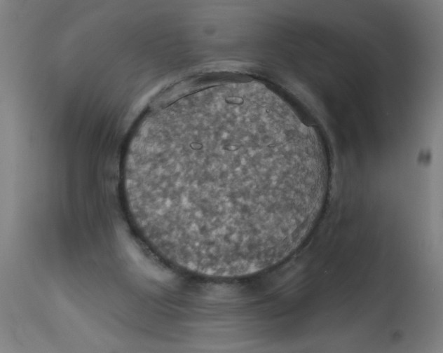 X0000113230107200910081415