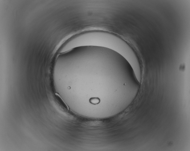 X0000113230108200910081415