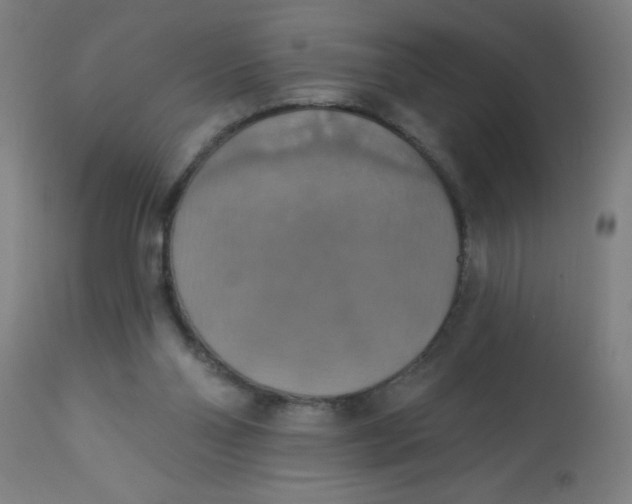 X0000113230110200910081415