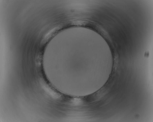 X0000113230114200910081415